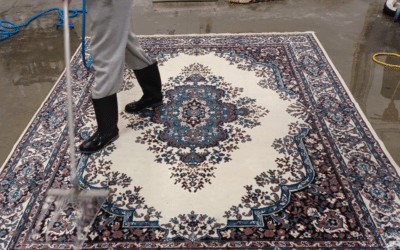 The 5 Carpet Cleaning Technicians’ Skills