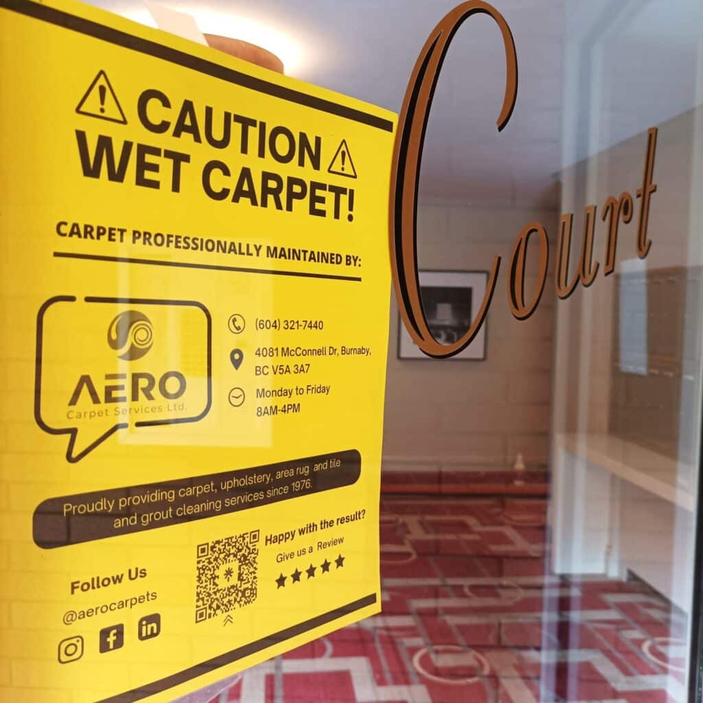 Aero Carpet Reviews