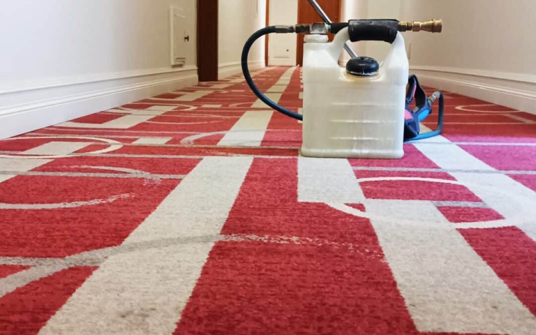 The Commercial Carpet Cleaning Process