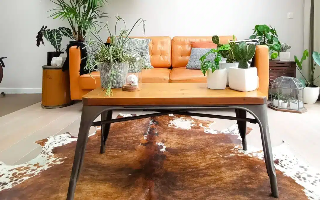 Love Your Cowhide Rug? Here’s How to Clean It Safely