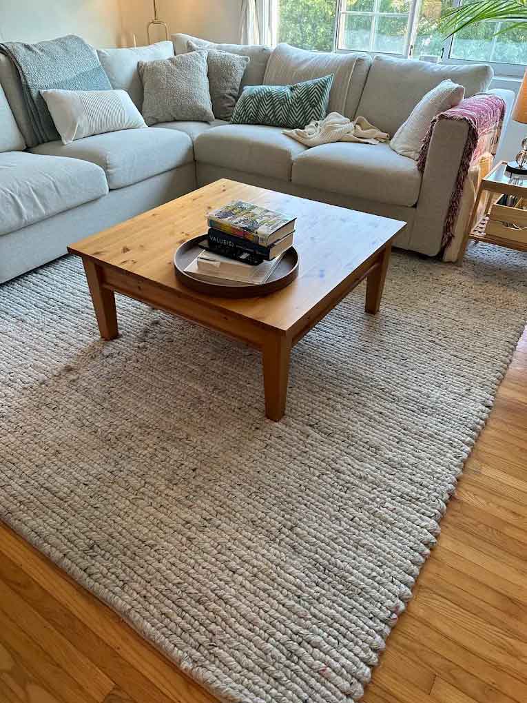 area rug stain removal