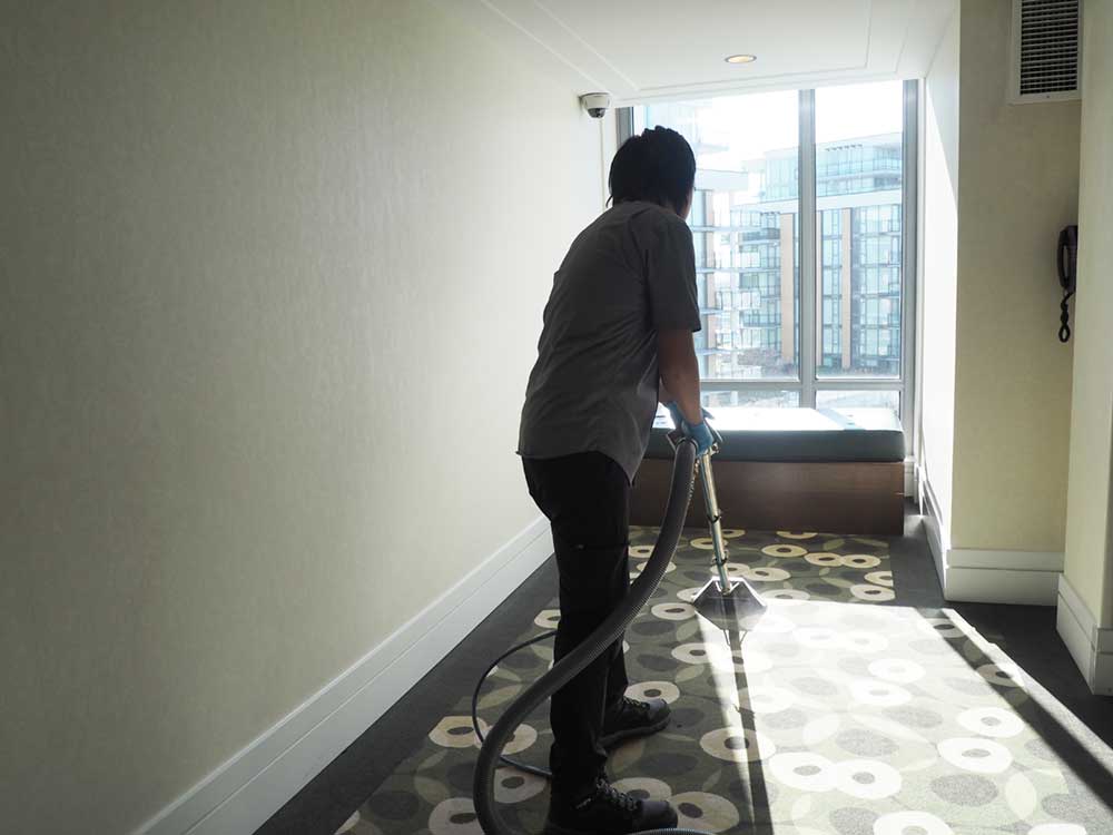 burnaby new westminster carpet cleaning