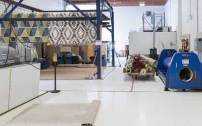 Essential Guide to Area Rug Stains: Expert Spot & Spill Tips